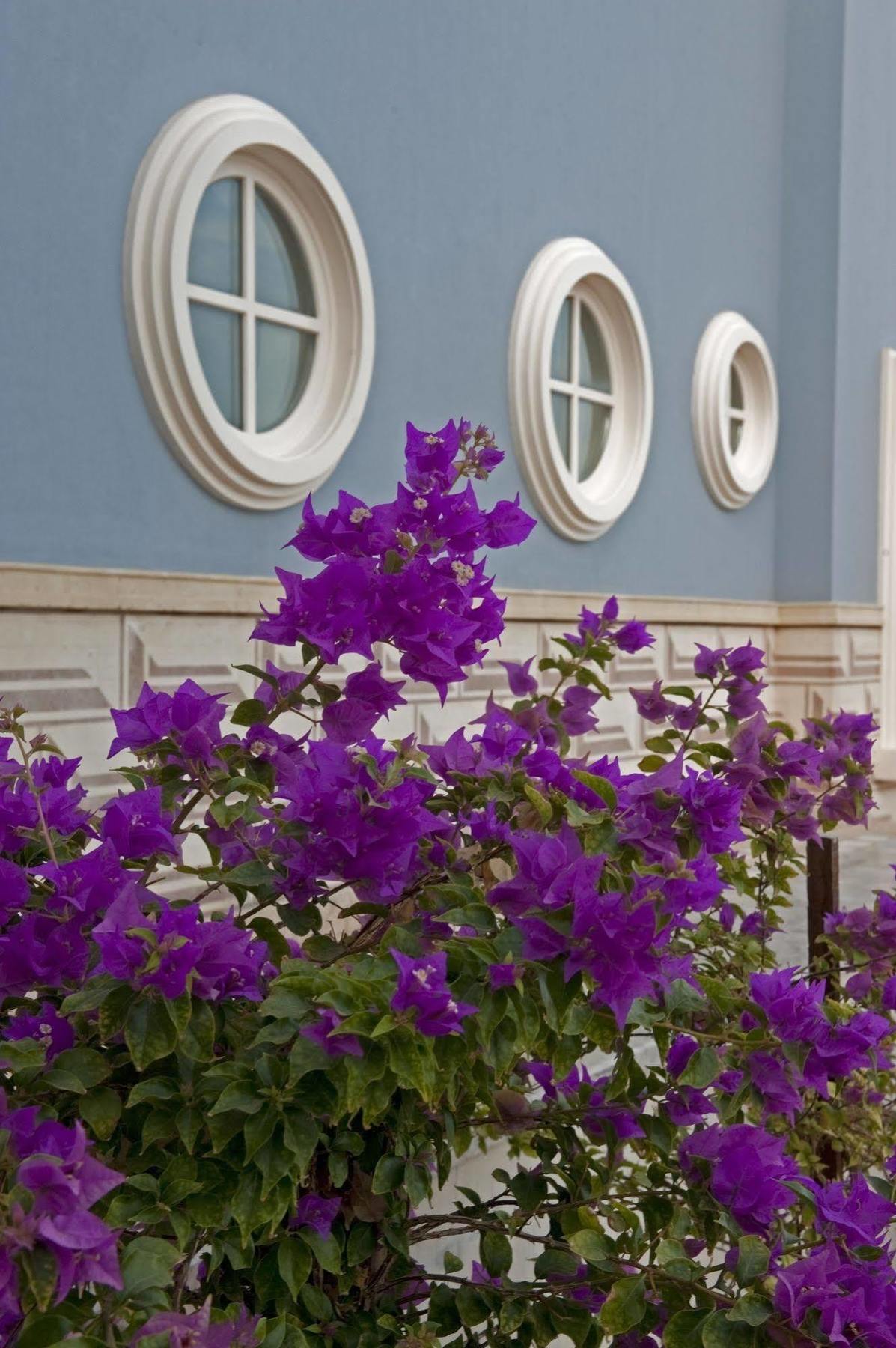 La Maison Bleue El Gouna (Adults Only) Hurghada Esterno foto